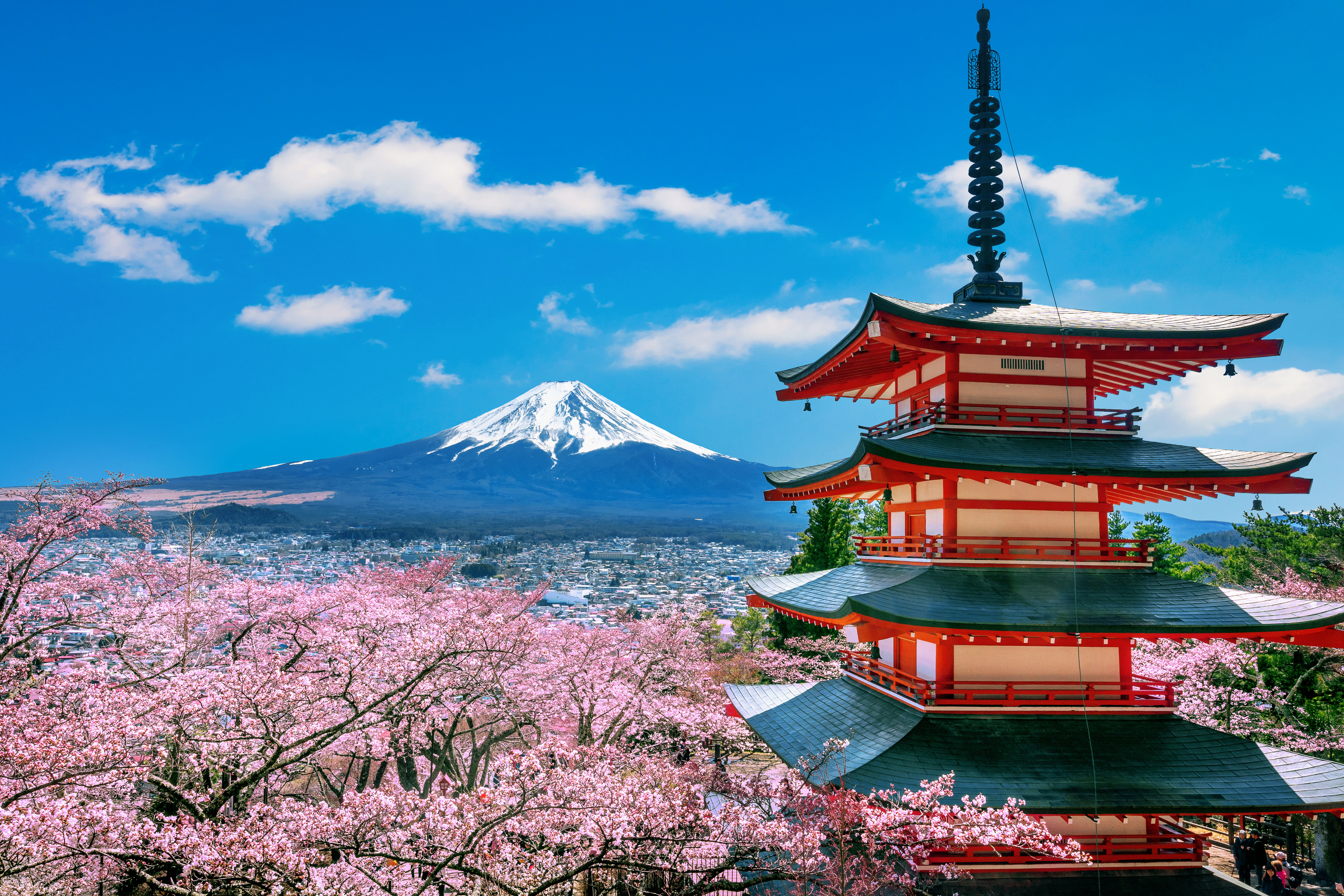 Pagoda with Mount Fuji